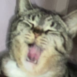 Meet your Posher, Goofy